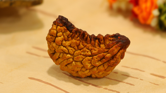 1 Mukhi Rudraksha