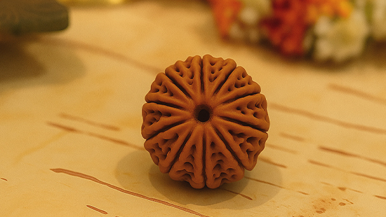 10 Mukhi Rudraksha
