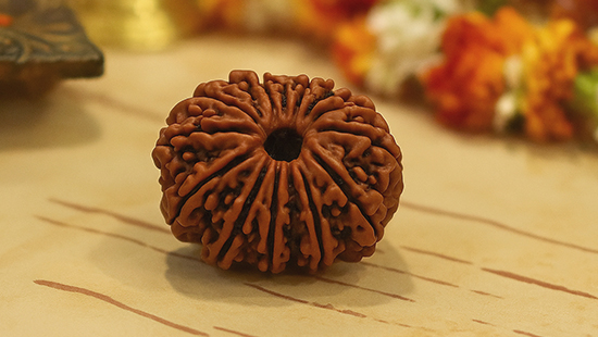 12 Mukhi Rudraksha
